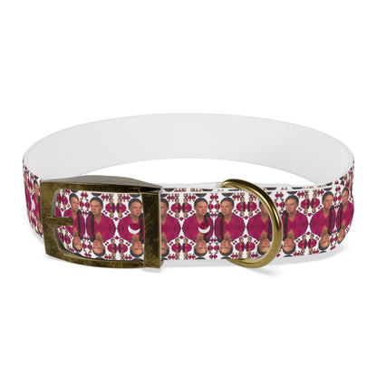 Double Dog Dare Collar