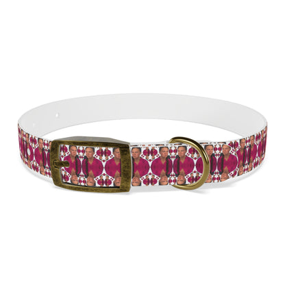 Double Dog Dare Collar