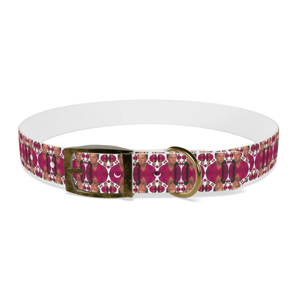 Double Dog Dare Collar