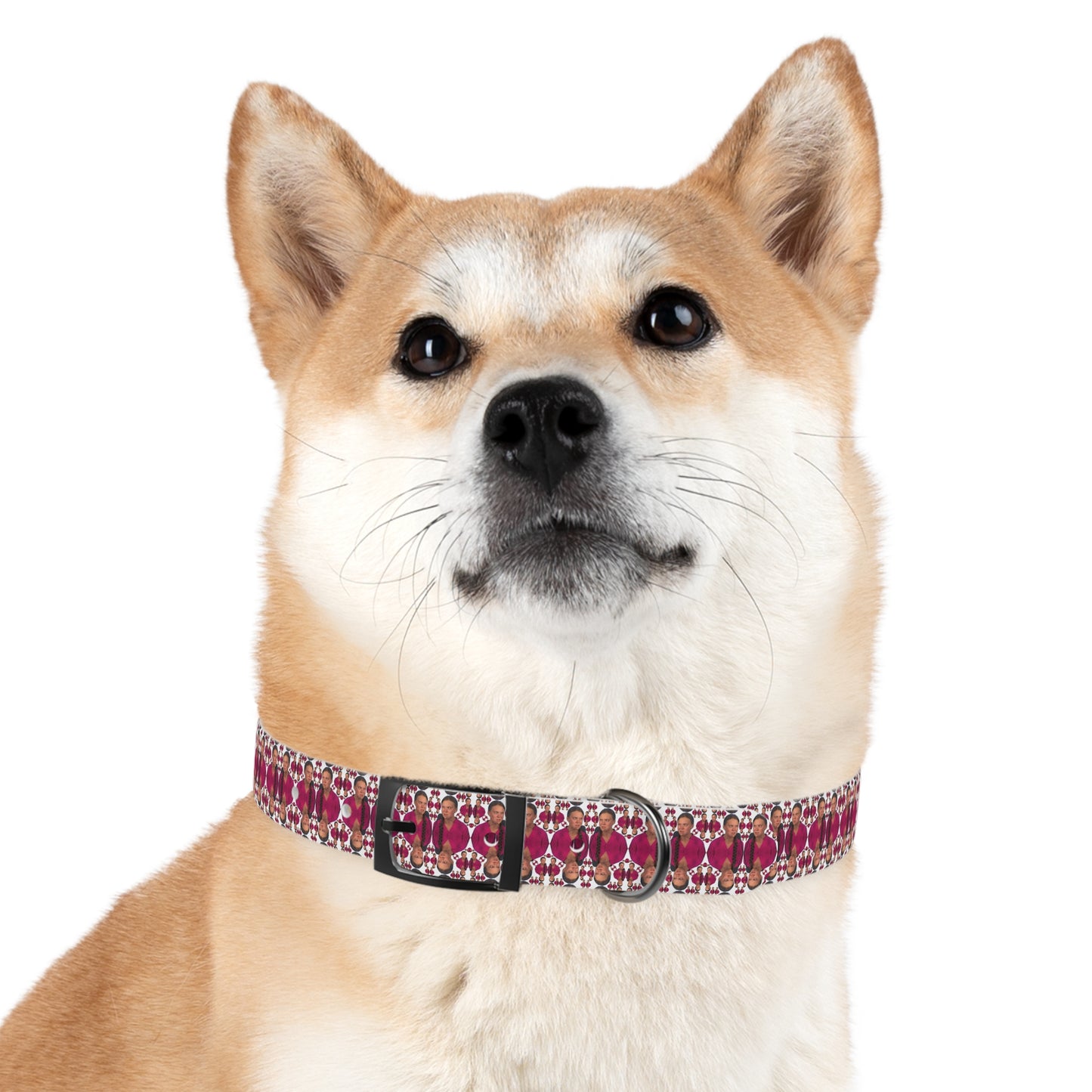 Double Dog Dare Collar