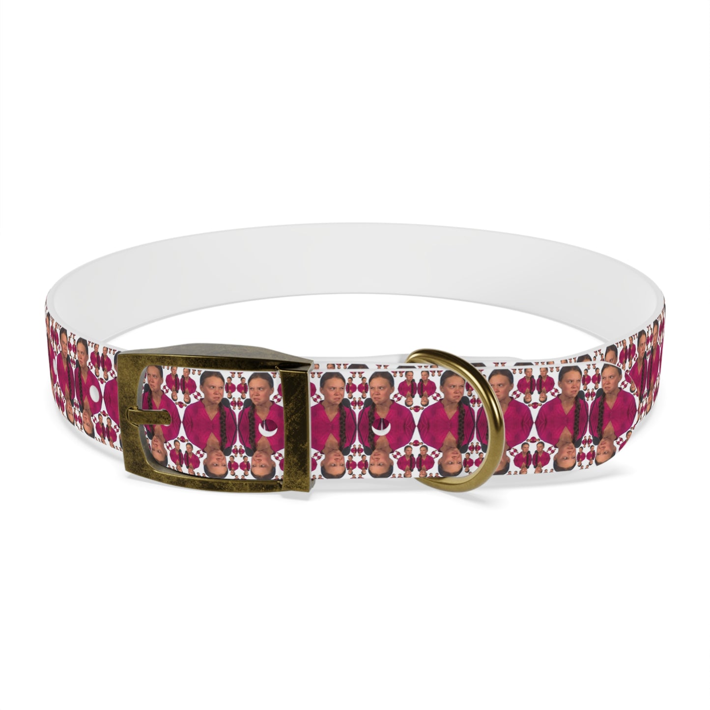 Double Dog Dare Collar