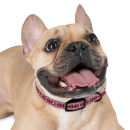 Double Dog Dare Collar