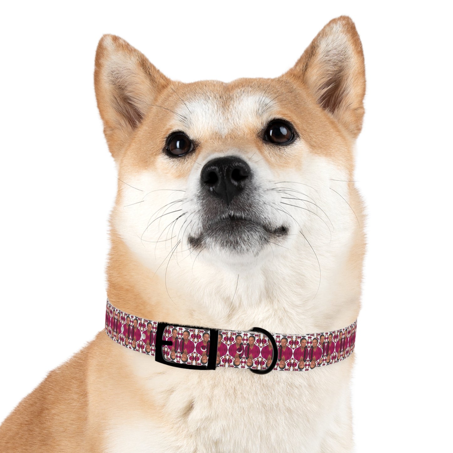 Double Dog Dare Collar