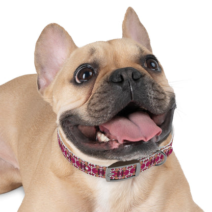 Double Dog Dare Collar