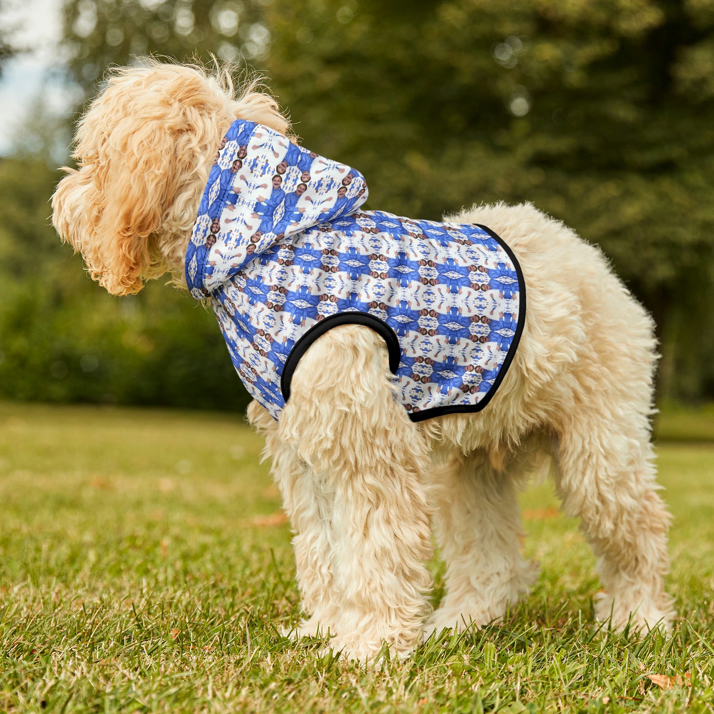 The Pillow Master Pet Hoodie