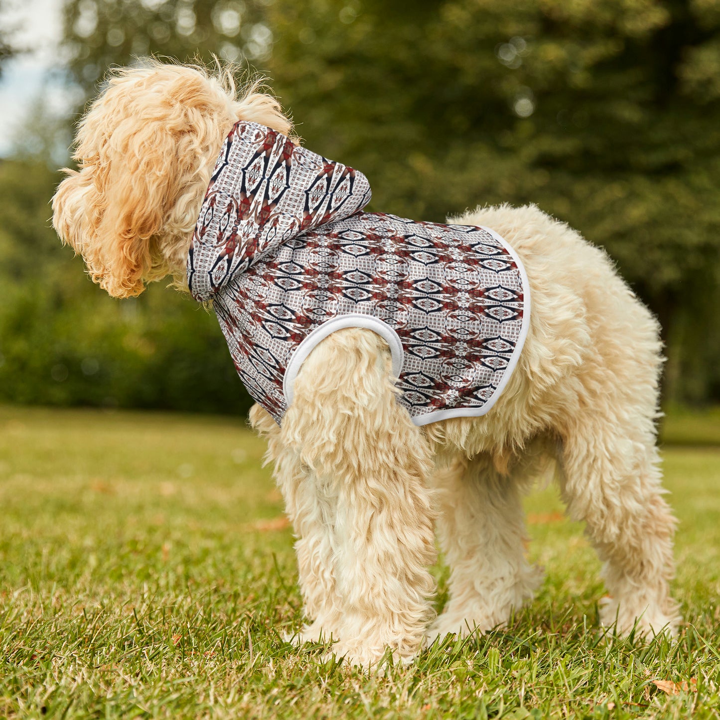 Raised Up Pet Hoodie